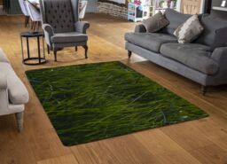 Benjamin Tate Design Fresh Green Grass Background, Natural Grass Designer Rug - Size: Large - thumbnail 2
