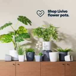 LIVIVO 18cm Plastic Plant Pots - Set of 2 in Grey - thumbnail 5