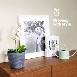 LIVIVO 18cm Plastic Plant Pots - Set of 2 in Grey - thumbnail 3