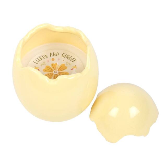 Something Different Citrus & Ginger Egg Shaped Scented Candle in Yellow - image 1
