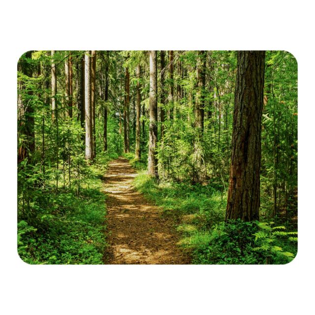 Benjamin Tate Design Woodland path Designer Blanket in Natural - Size: 120 cm x 150 cm - image 1