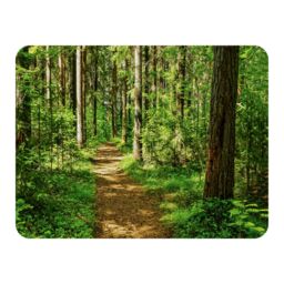 Benjamin Tate Design Woodland path Designer Blanket in Natural - Size: 120 cm x 150 cm - thumbnail 1