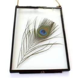 Amaya Rose Ltd Real Peacock feather Floating Picture Frame. Spiritual Gift in Black - thumbnail 2