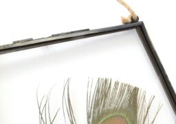 Amaya Rose Ltd Real Peacock feather Floating Picture Frame. Spiritual Gift in Black - thumbnail 3