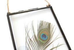Amaya Rose Ltd Real Peacock feather Floating Picture Frame. Spiritual Gift in Black - thumbnail 4