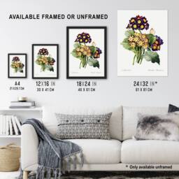 Artery8 Primrose Flowers Floral Redoute Vintage Framed Wall Art Print in White - Size: A4 - thumbnail 3
