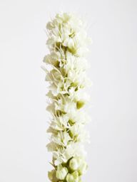 Orsina Fiori Artificial flowers Grey Feather Stem in Green - thumbnail 3