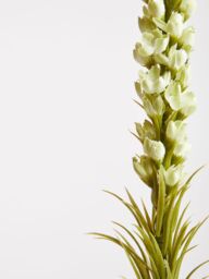 Orsina Fiori Artificial flowers Grey Feather Stem in Green - thumbnail 5