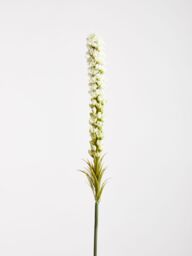 Orsina Fiori Artificial flowers Grey Feather Stem in Green - thumbnail 4