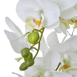 Lemon Pavilion Furniture and Decor Large Orchid in Pot - Plastic/Ceramic - L60 x W65 x H76 cm - White - thumbnail 6