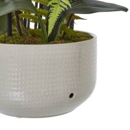 Lemon Pavilion Furniture and Decor Large Orchid in Pot - Plastic/Ceramic - L60 x W65 x H76 cm - White - thumbnail 8