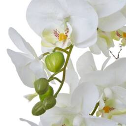Lemon Pavilion Furniture and Decor Large Orchid in Pot - Plastic/Ceramic - L60 x W65 x H76 cm - White - thumbnail 2