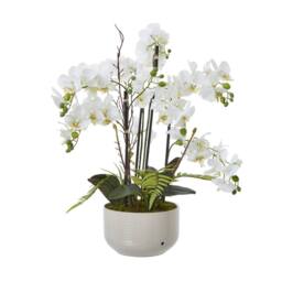 Lemon Pavilion Furniture and Decor Large Orchid in Pot - Plastic/Ceramic - L60 x W65 x H76 cm - White - thumbnail 5