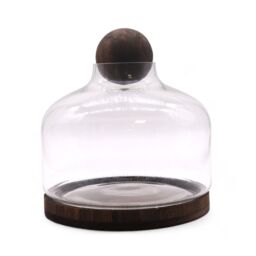 KDMD Ex-Large Ball Top Terarium on Dark Tung Wood in Brown - thumbnail 3