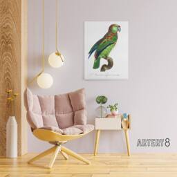 "Artery8 The Blue Fronted Amazon Parrot Levaillant Canvas Wall Art Print in White - Size: W18"" x H24""" - thumbnail 3