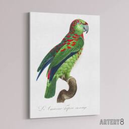 "Artery8 The Blue Fronted Amazon Parrot Levaillant Canvas Wall Art Print in White - Size: W18"" x H24""" - thumbnail 2
