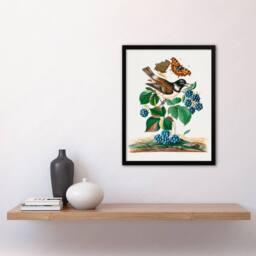 "Artery8 Bramble Rubus Starling & Butterflies Bolton Framed Wall Art Print - Size: W12"" x H16""" - thumbnail 4