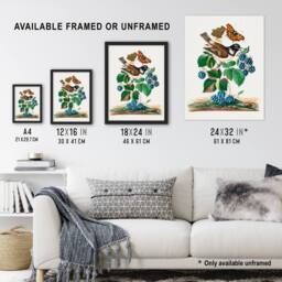 "Artery8 Bramble Rubus Starling & Butterflies Bolton Framed Wall Art Print - Size: W12"" x H16""" - thumbnail 3