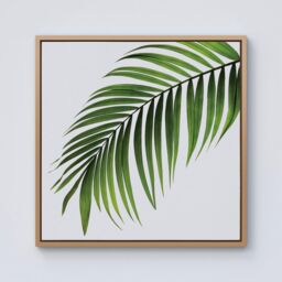 Warren Reed - Designer Single Palm Leaf Framed Canvas in Light Brown - Size: w10 inch x h10 inch - thumbnail 1