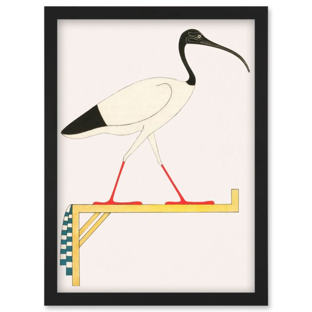 Artery8 Sacred Ibis Bird on Stand Thoth Egyptian Vintage Illustration Artwork Framed Wall Art Print A4 in Black - image 1