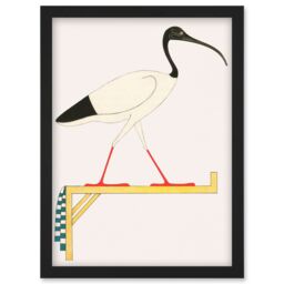 Artery8 Sacred Ibis Bird on Stand Thoth Egyptian Vintage Illustration Artwork Framed Wall Art Print A4 in Black - thumbnail 1