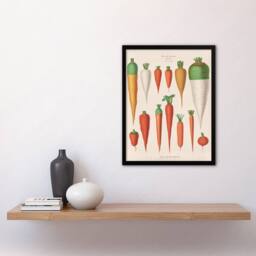 Artery8 Ernst Benary Carrot Varieties Vintage Illustration Framed Art Print in White - Size: A4 - thumbnail 2