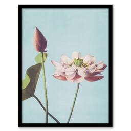 Artery8 Pink Lotus Flower Blooms Vintage Japan Framed Wall Art Print Kazumasa in Blue - Size: A4 - thumbnail 1