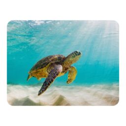 Benjamin Tate Design photo of Sea turtle in the Galapagos island Designer Blanket in Natural - Size: 120 cm x 150 cm - thumbnail 1