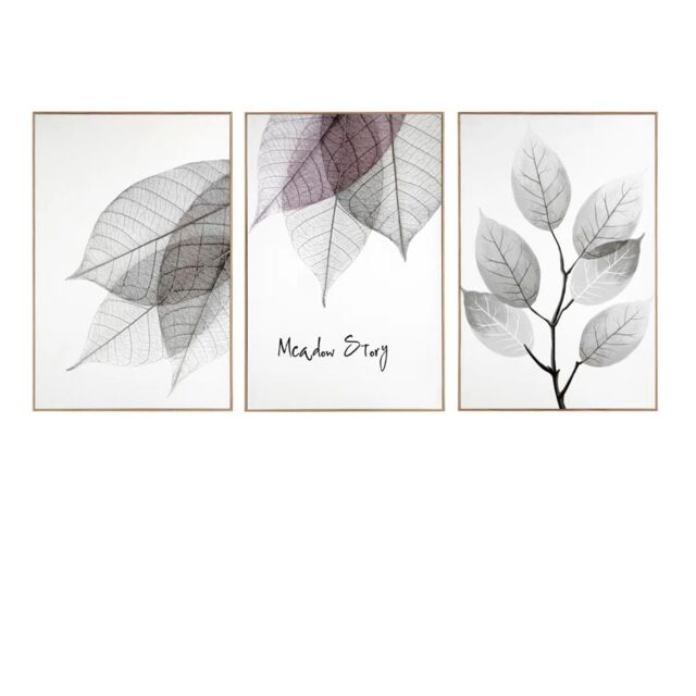 nielsen Set of 3 Framed Botanical Wall Art Prints by Deborah Pearce in Natural - image 1
