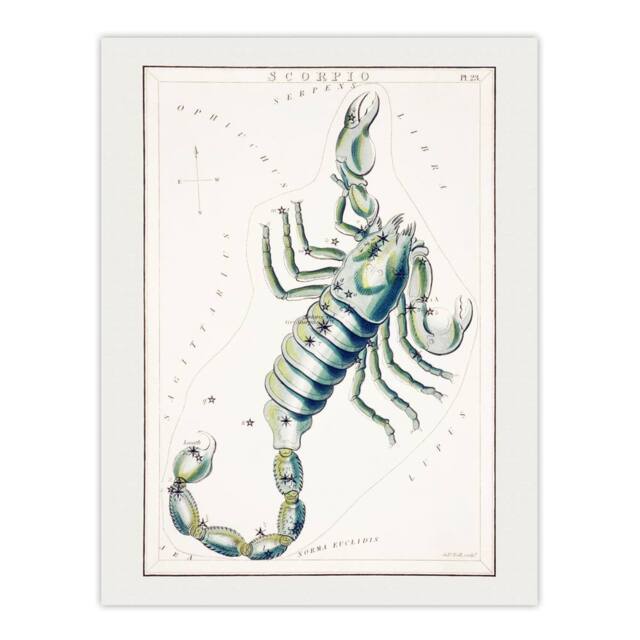 "Artery8 Astronomical Chart illustration of Scorpio Hall Wall Art Poster Print in White - Size: W12"" x H16""" - image 1