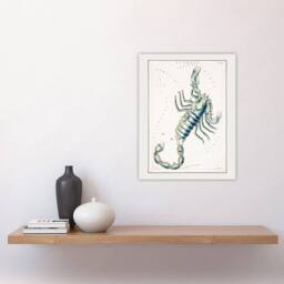 "Artery8 Astronomical Chart illustration of Scorpio Hall Wall Art Poster Print in White - Size: W12"" x H16""" - thumbnail 4