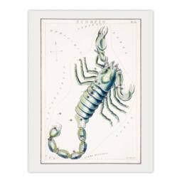 "Artery8 Astronomical Chart illustration of Scorpio Hall Wall Art Poster Print in White - Size: W12"" x H16""" - thumbnail 1