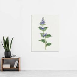"Artery8 Gentian Flower Wall Art Print Vintage Japanese Botanical in Pink - Size: W12"" x H16""" - thumbnail 4