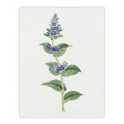 "Artery8 Gentian Flower Wall Art Print Vintage Japanese Botanical in Pink - Size: W12"" x H16""" - thumbnail 1