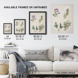 "Artery8 New Zealand Four Veronica Flowering Plants Featon Wall Art Print in Beige - Size: W12"" x H16""" - thumbnail 3