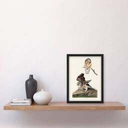 Artery8 John James Audubon Framed Wall Art Print Birds Of America Little Owls in White - Size: A4 - thumbnail 2