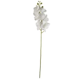 Leaf Pack of 6 x 100cm Artificial Phalaenopsis Orchid White Stem - Size: 6 x 100 cm - thumbnail 2