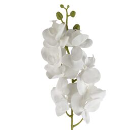 Leaf Pack of 6 x 100cm Artificial Phalaenopsis Orchid White Stem - Size: 6 x 100 cm - thumbnail 5