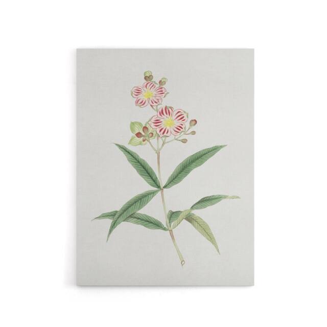 "Artery8 Red White Blossoms Canvas Wall Art Print Vintage Japan Botanical in Green - Size: W18"" x H24""" - image 1