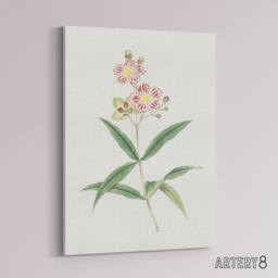 "Artery8 Red White Blossoms Canvas Wall Art Print Vintage Japan Botanical in Green - Size: W18"" x H24""" - thumbnail 2