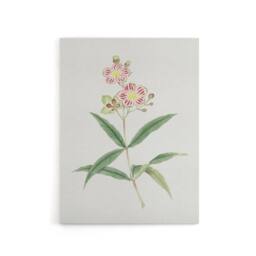"Artery8 Red White Blossoms Canvas Wall Art Print Vintage Japan Botanical in Green - Size: W18"" x H24""" - thumbnail 1