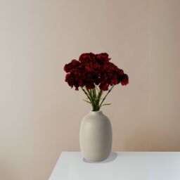 Pegdev Pack of 12 Artificial Red Carnation Stems for Home or Wedding Use - thumbnail 3
