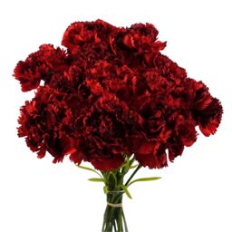 Pegdev Pack of 12 Artificial Red Carnation Stems for Home or Wedding Use - thumbnail 1