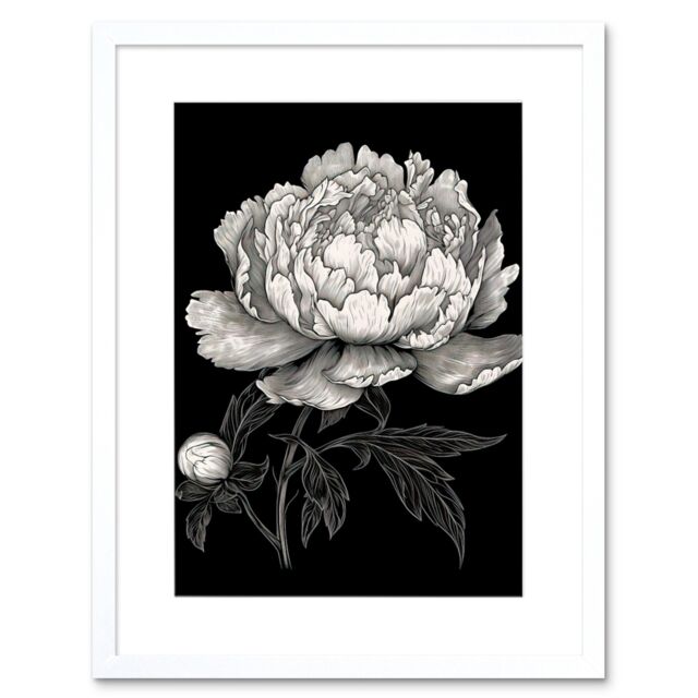 "Artery8 Wall Art Print A Peony Flower Bloom Black & White Blind Contour Artwork Framed 9X7 Inch - Size: W7"" x H9""" - image 1