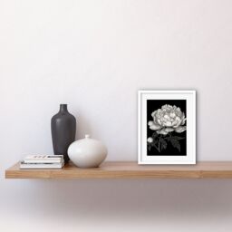 "Artery8 Wall Art Print A Peony Flower Bloom Black & White Blind Contour Artwork Framed 9X7 Inch - Size: W7"" x H9""" - thumbnail 2