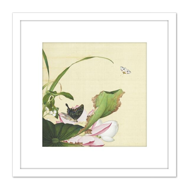 Artery8 Castiglione Lotus Flower Butterfly Painting 8X8 Inch Square Wooden Framed Wall Art Print Picture with Mount in White - image 1