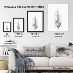 "Artery8 Murex Shell Seashell Drawing Haeckel Botanical Wall Art Print Poster in White - Size: W12"" x H16""" - thumbnail 3