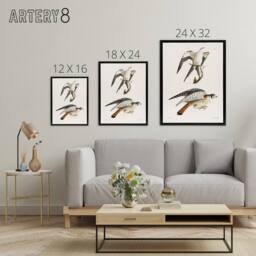 "Artery8 James De Kay Swallow Tailed & Sparrow Hawk Framed Canvas Art Print in White - Size: W12"" x H16""" - thumbnail 4