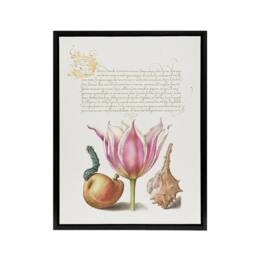 "Artery8 Pear Pink Tulip & Seashell Calligraphy Framed Canvas Wall Art Print in White - Size: W12"" x H16""" - thumbnail 1