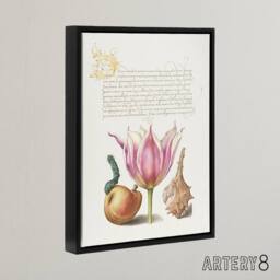 "Artery8 Pear Pink Tulip & Seashell Calligraphy Framed Canvas Wall Art Print in White - Size: W12"" x H16""" - thumbnail 2